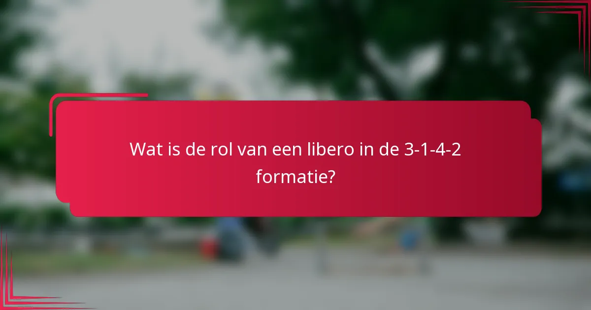 Wat is de rol van een libero in de 3-1-4-2 formatie?