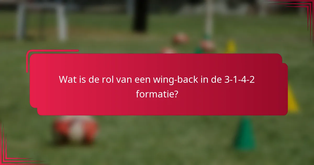 Wat is de rol van een wing-back in de 3-1-4-2 formatie?