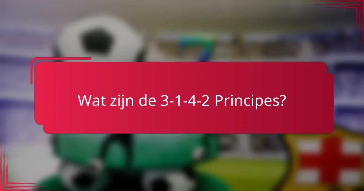 Wat zijn de 3-1-4-2 Principes?